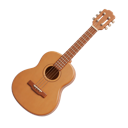 Akustik / Folk